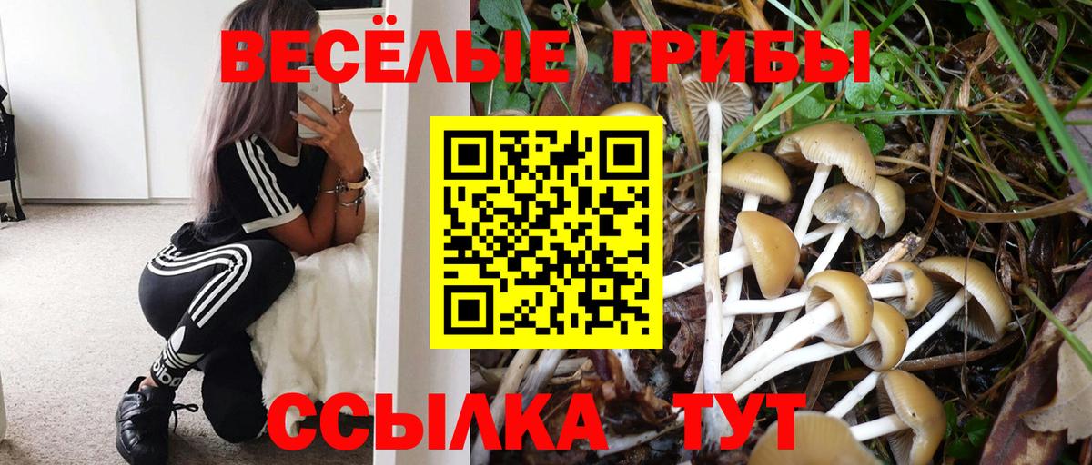 Псилоцибиновые грибы прущие грибы  Вход с VPN  Ульяновск 